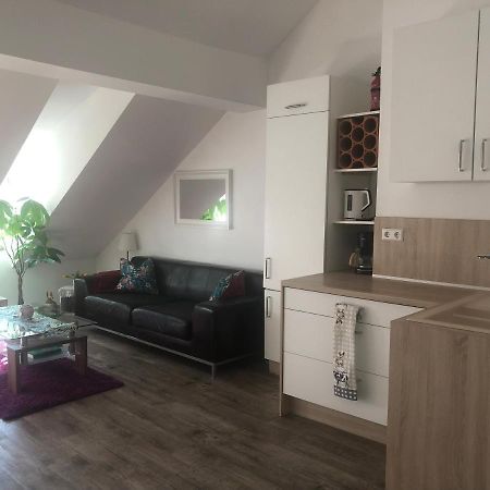 Old Bridge View Apartment Heidelberg Ngoại thất bức ảnh