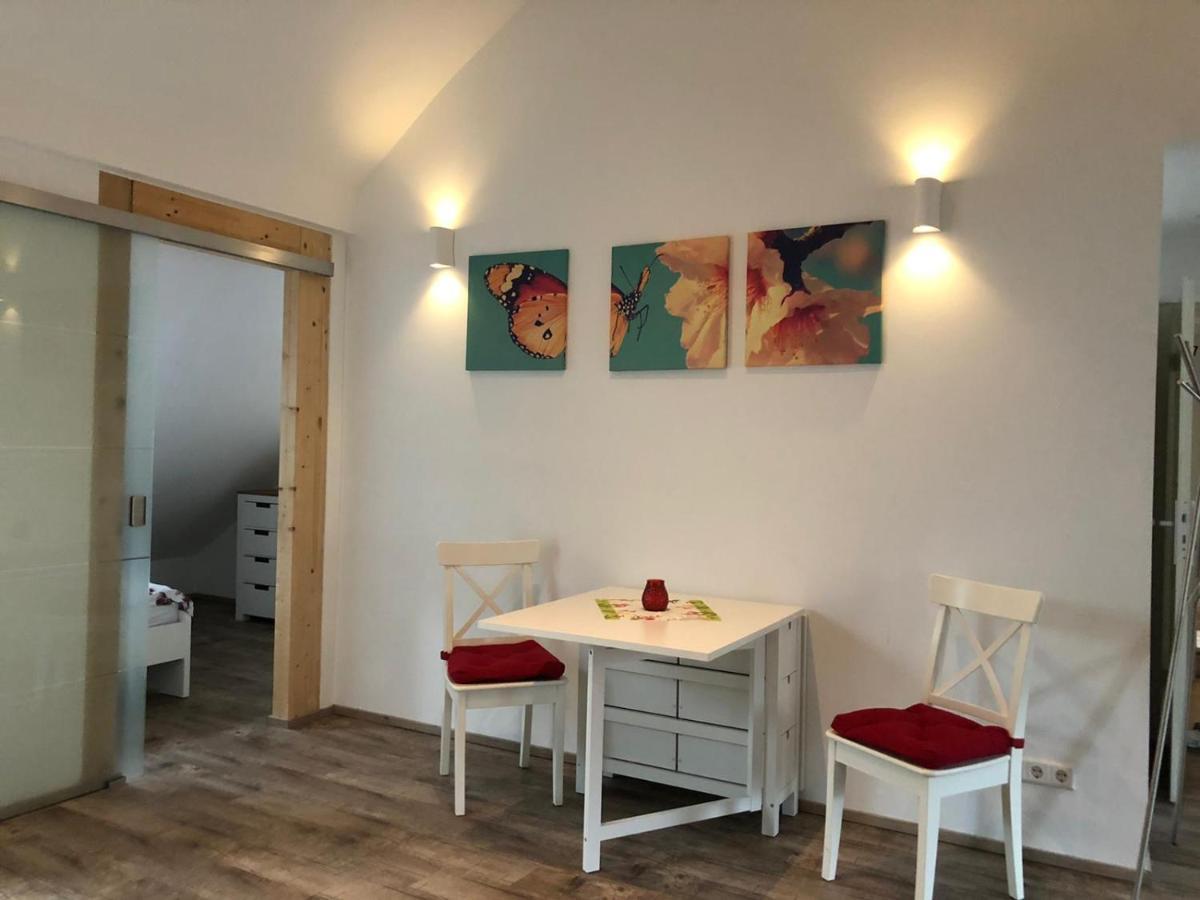 Old Bridge View Apartment Heidelberg Ngoại thất bức ảnh