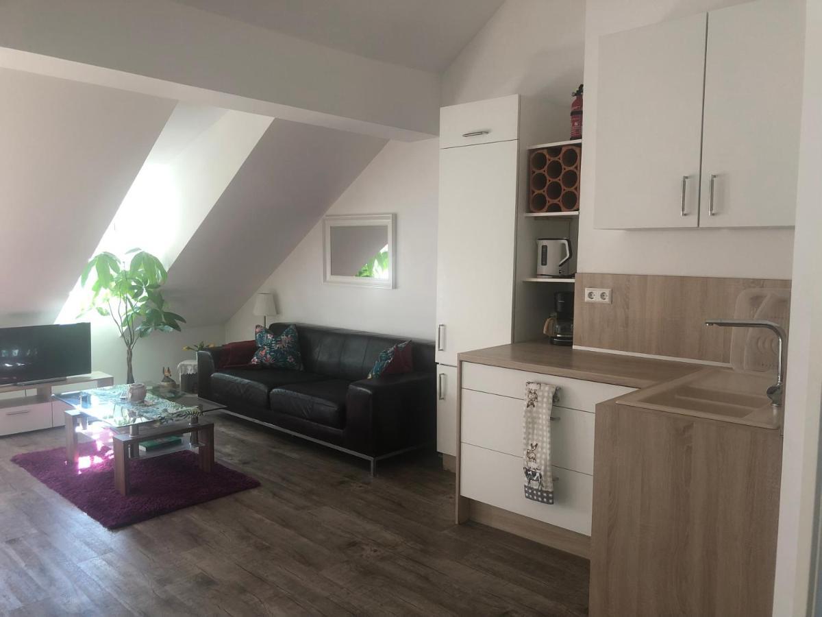 Old Bridge View Apartment Heidelberg Ngoại thất bức ảnh