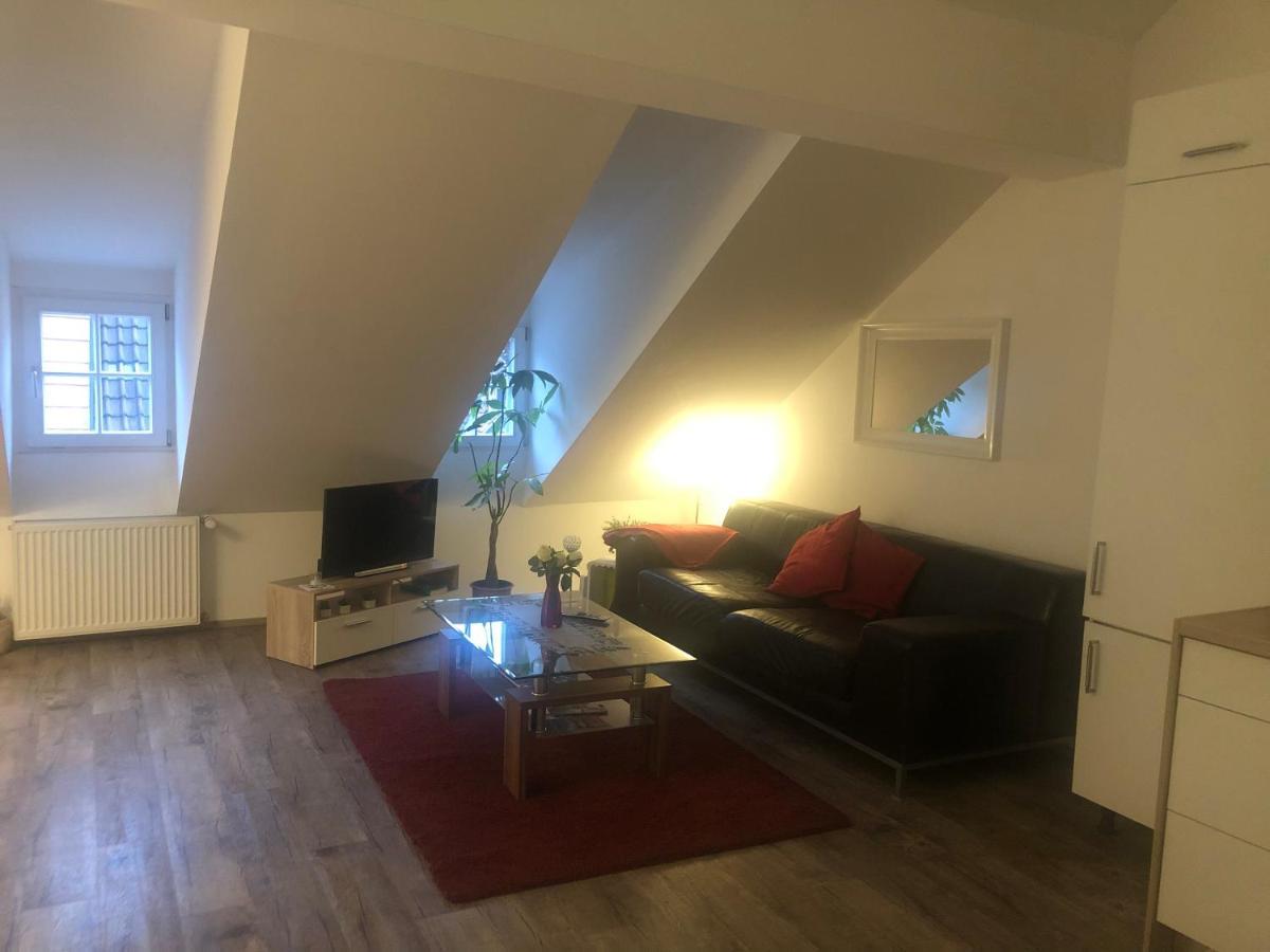 Old Bridge View Apartment Heidelberg Ngoại thất bức ảnh